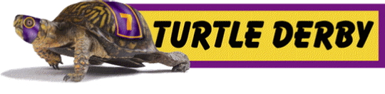 turtlederbylogo1